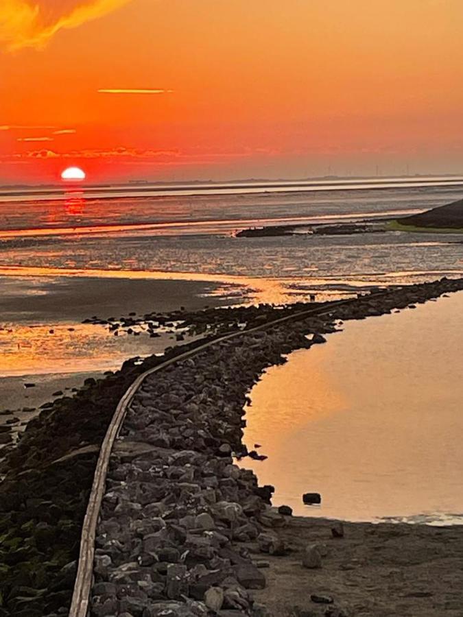 Oosterschelde Lodge Met Veel Privacy En Dicht Bij Het Water Scherpenisse Extérieur photo