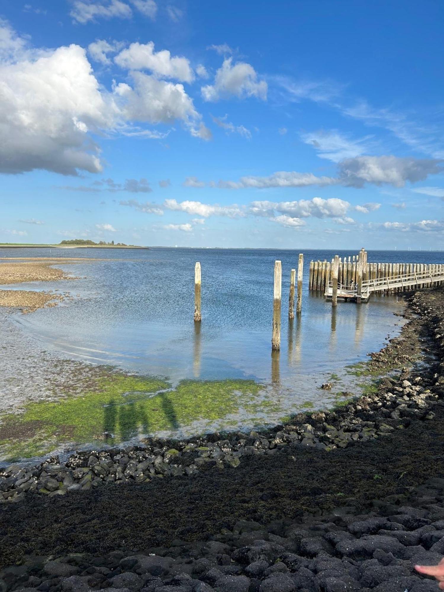 Oosterschelde Lodge Met Veel Privacy En Dicht Bij Het Water Scherpenisse Extérieur photo