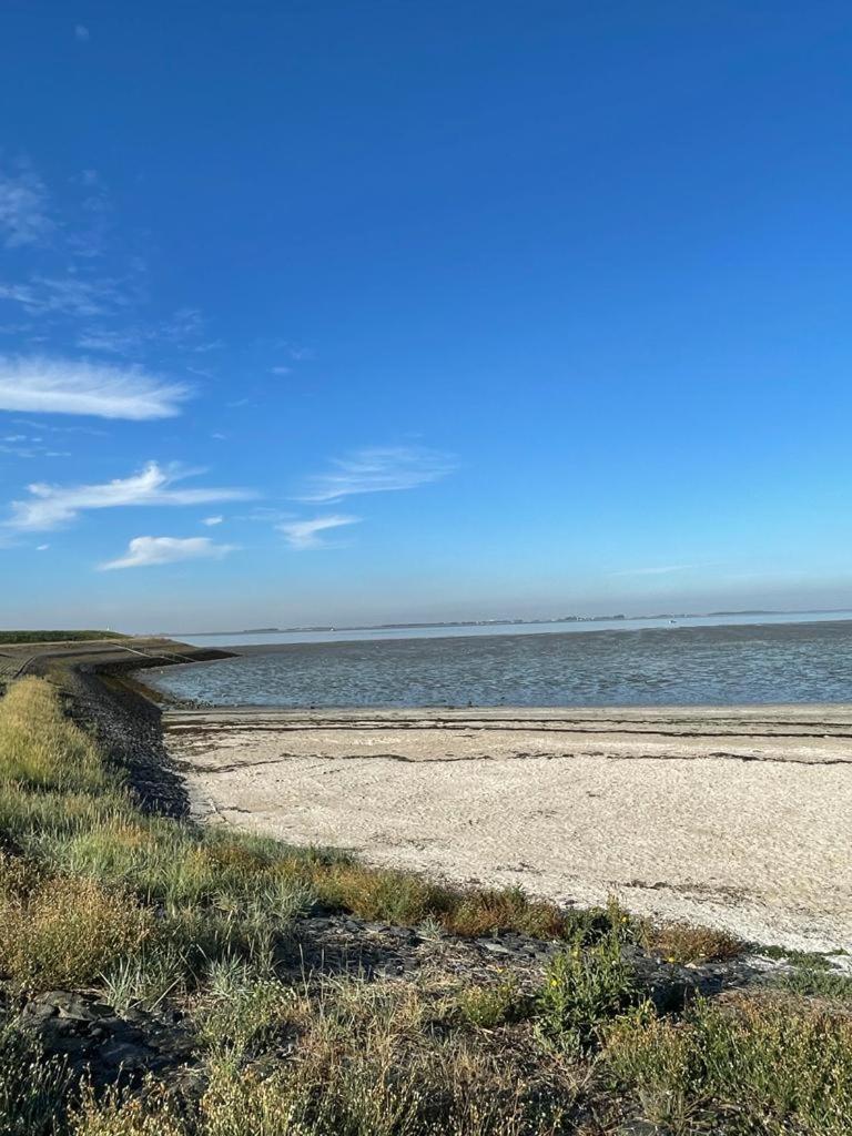 Oosterschelde Lodge Met Veel Privacy En Dicht Bij Het Water Scherpenisse Extérieur photo